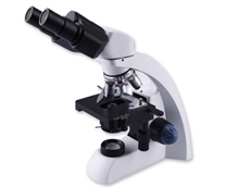 Microscope binoculaire